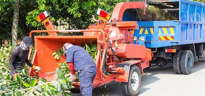 tree service in Garland